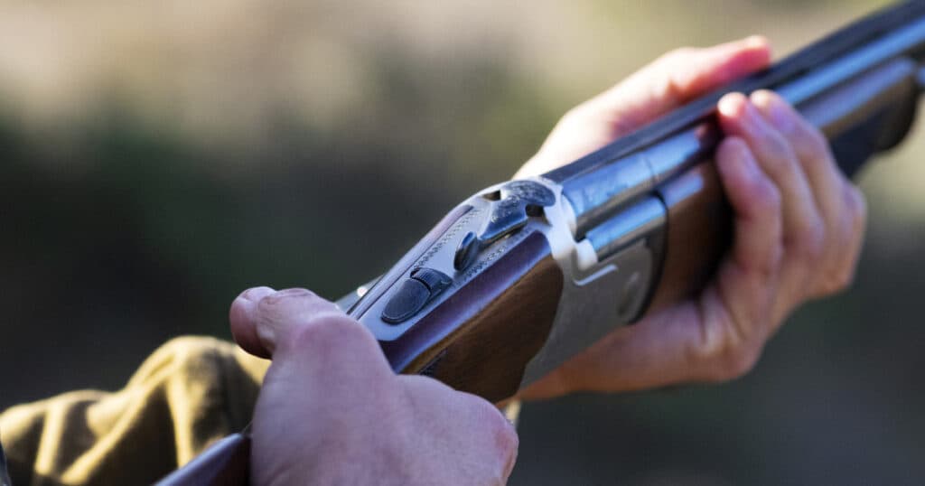 Un primar din Bihor a primit o condamnare la închisoare după decesul unui pădurar în timpul unei vânători ilegale.