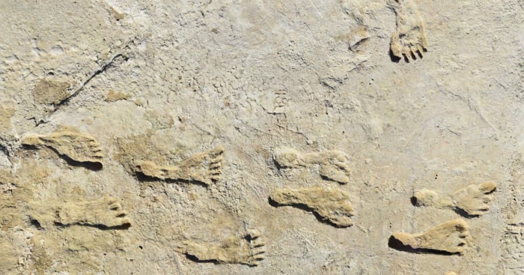 Urmele de pași care au influențat istoria Americii. Ce au găsit cercetătorii în White Sands.