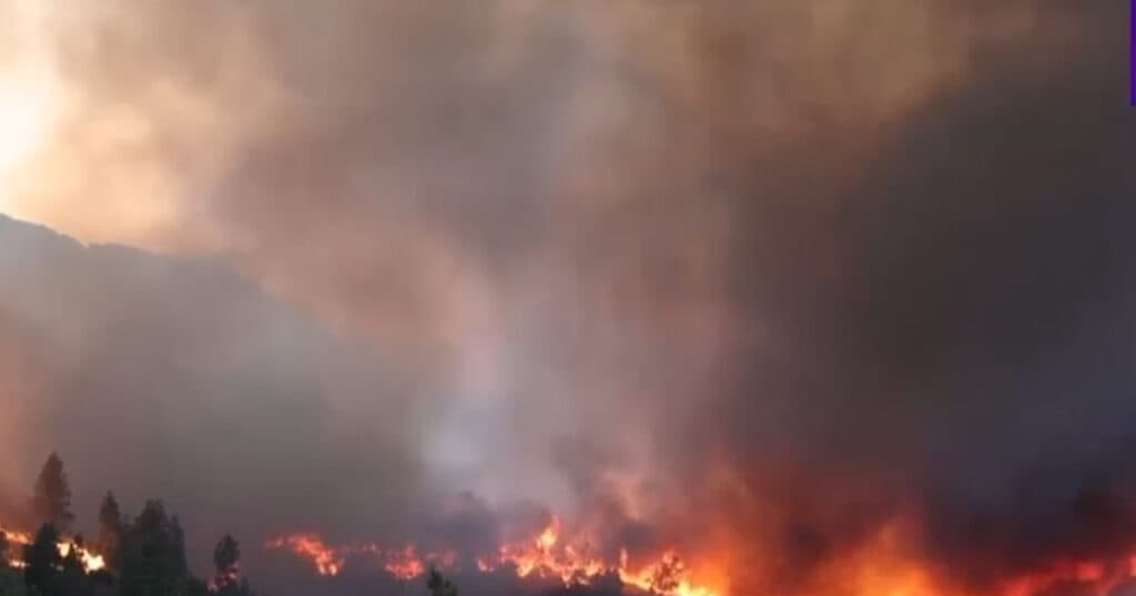Incendiile de vegetație devastatoare din insula grecească Chios au dus la evacuarea a sute de oameni.