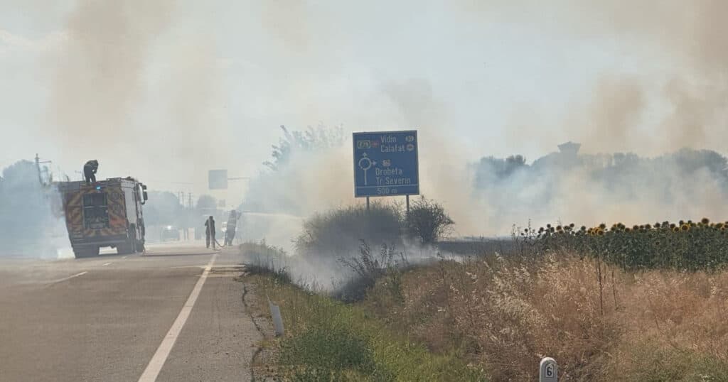 Incendiu de vegetație de amploare la Maglavit, în Dolj, pe o suprafață de 70 – 80 hectare. Traficul rutier a fost deviat.