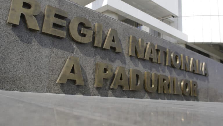 Descoperirile Corpului de Control al Ministerului Mediului la Romsilva: Raportul Dianei Buzoianu îndreptat către Parchetul General