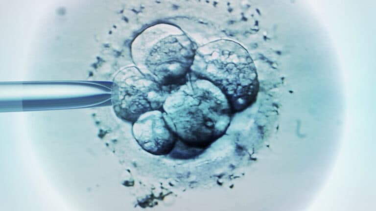 Ritmul natural al bărbaților și impactul asupra avorturilor spontane în fertilizarea in vitro.