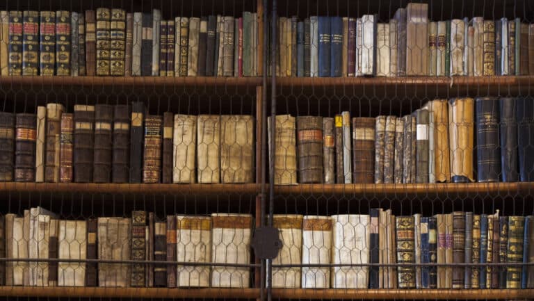 Cea mai veche bibliotecă din Ungaria, sub asediul gândacilor: 100.000 de cărți rare în pericol de a fi distruse; intervenții imediate necesare.