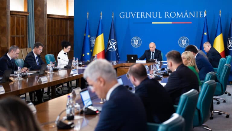 Executivul decide astăzi modalitățile de reinstaurare a controalelor la granițele interne