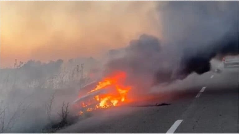Incendiu devastator în Dolj: Un șofer în stare de ebrietate a distrus o mașină după ce a aterizat într-un șanț de drenaj.