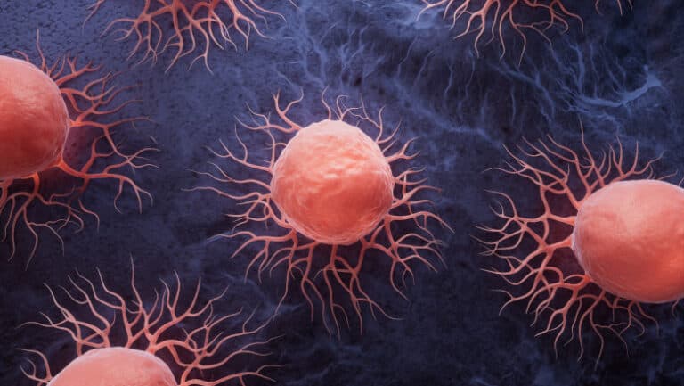 Descoperirea unei mutații genetice subtile care crește riscul de cancer la oameni: Ce spun cercetătorii și cum ne comparăm cu alte primate.