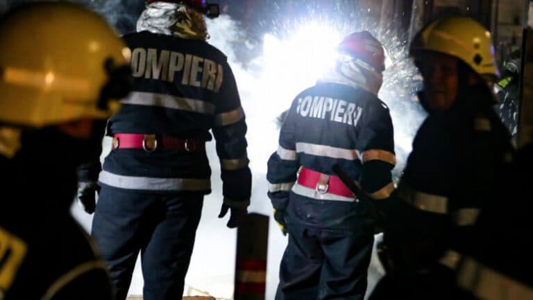 Intervenție de urgență în județul Constanța din cauza unui incendiu de vegetație aproape de un azil.