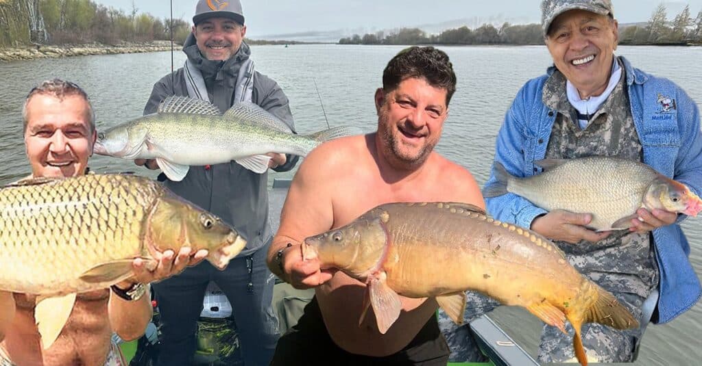 Când starurile își aruncă undița! Deliciul estival al pescarilor Adrian Daminescu și Chef Sorin Bontea: „Se potrivește de minune cu un vin alb răcoros”. Misterul savorii.