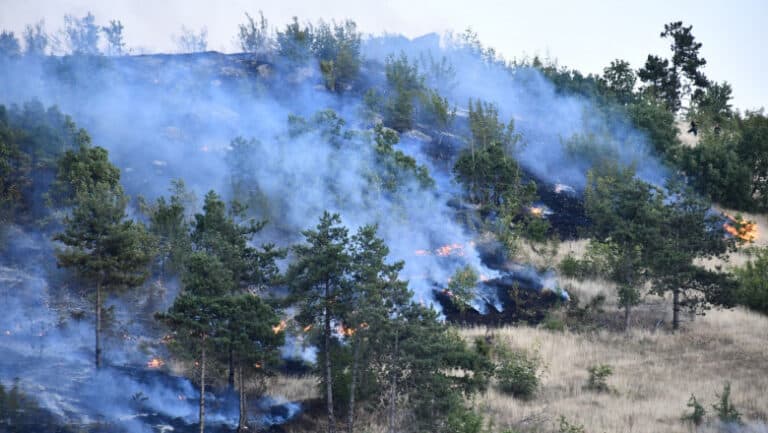 Alertă de urgență în Macedonia de Nord din cauza incendiilor forestiere.
