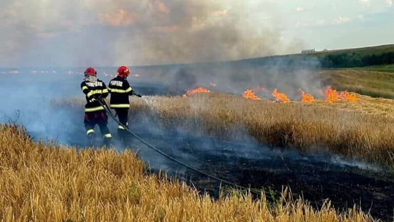 Incendii devastatoare în Oltenia: 53 de focare în 3 zile, zeci de pompieri mobilizați pentru a stinge flăcările pe 750 de hectare.