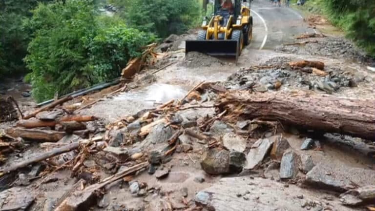 Transfăgărășan închis de o viitură: drumul acoperit de resturi de arbori și pietriș.