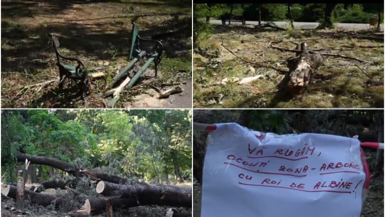 Imagini dezolante din parcurile bucureștene: copaci doborâți și distrugeri masive în urma furtunii, iar Primăria pare absentă