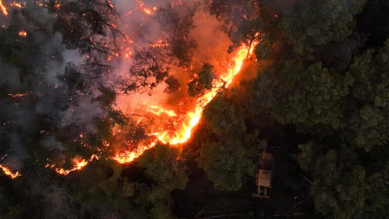 Focul necontrolat a mistuit 3% din pădurile Siriei, iar Damascul solicită sprijinul UE pentru a stinge incendiile.