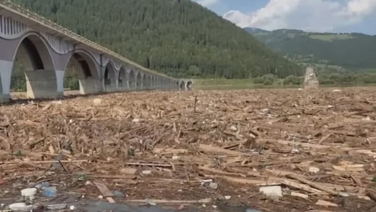 Alarmă la Barajul Bicaz: Curgerea apelor a adus o masă impresionantă de lemne, acoperind lacul. Care sunt declarațiile oficialilor despre această situație?