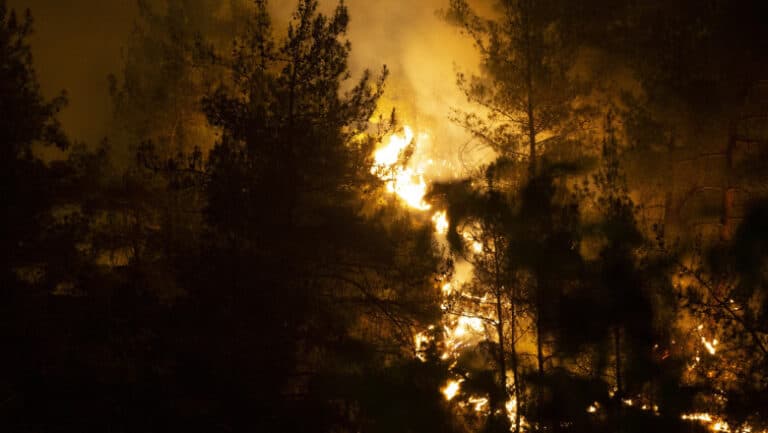 Incendii devastatoare în Turcia: Localități evacuate și peste 1.000 de pompieri în acțiune