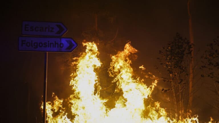 Portugalia în stare de alertă din cauza a 17 incendii devastatoare: răniți în rândul pompierilor și nu numai