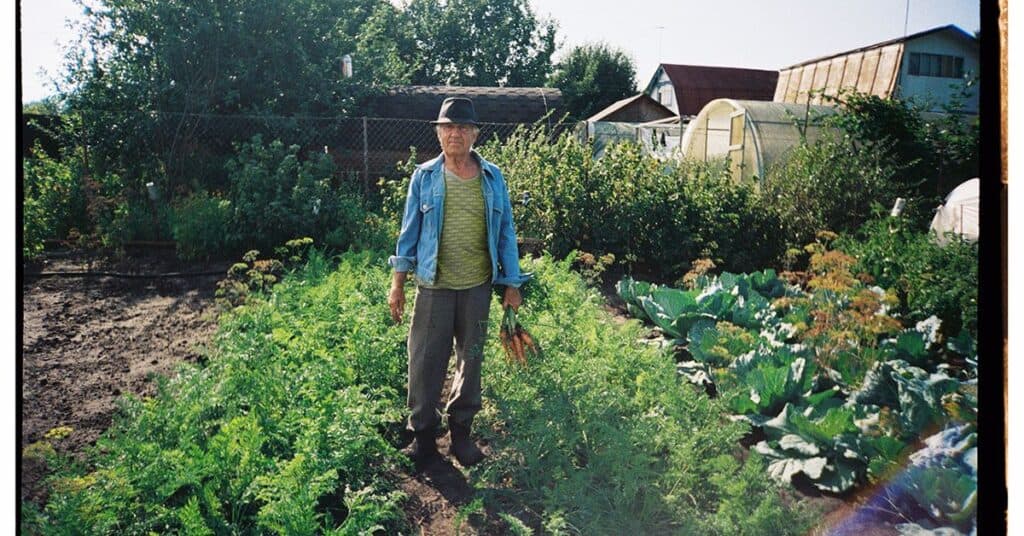 Trei tipuri de dietă care pot diminua riscul bolilor cronice la seniori