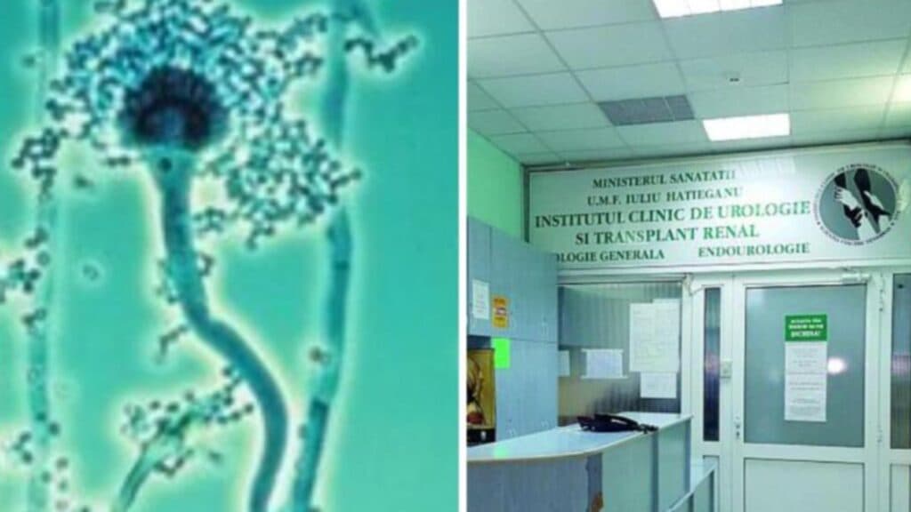 Avertizare medicală! O bacterie extrem de periculoasă a fost descoperită în sala de operație a unui spital de renume din țară: risc crescut de mortalitate
