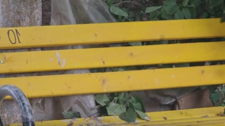 Bancnote aurii de 120.000 de lei în comuna fără sistem de canalizare. Primarul strălucește de mândrie pentru această investiție