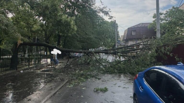 Impactul furtunilor în România: 3 vieți pierdute, 240 de copaci căzuți și 73 de mașini distruse în 78 de localități din 18 județe