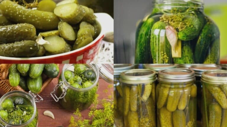Cât oțet adăugăm la un kilogram de castraveți? Descoperă rețeta perfectă pentru murături delicioase