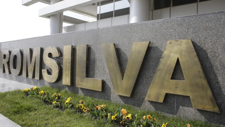Controale la Romsilva: pierderi financiare semnificative în șase direcții silvice, timp de cinci ani consecutiv. Raportul a fost înaintat Parchetului General