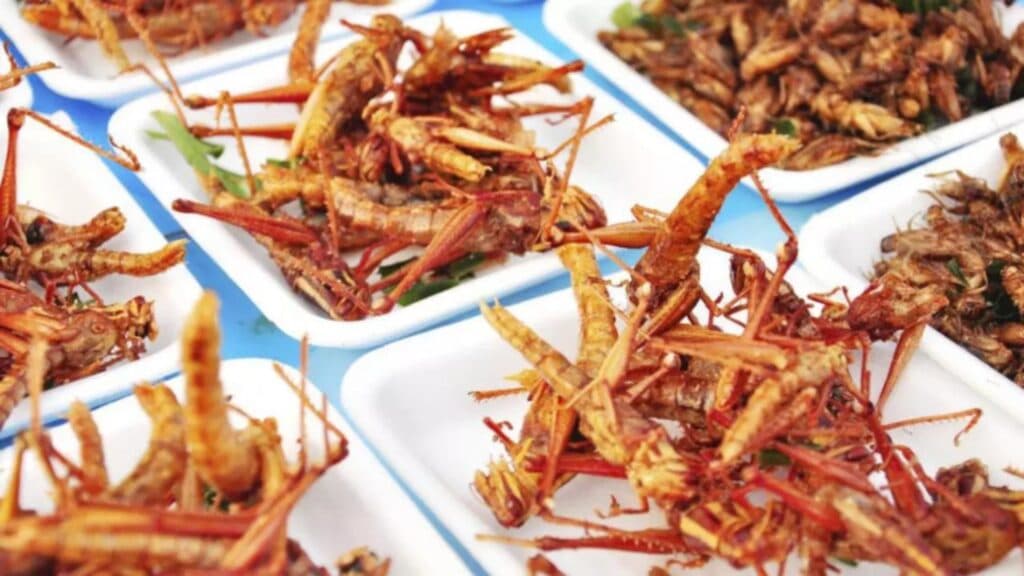 Cum să identifici dacă alimentele de pe rafturi includ făină de insecte: Indiciul de pe etichetă care dezvăluie producătorii necorespunzători