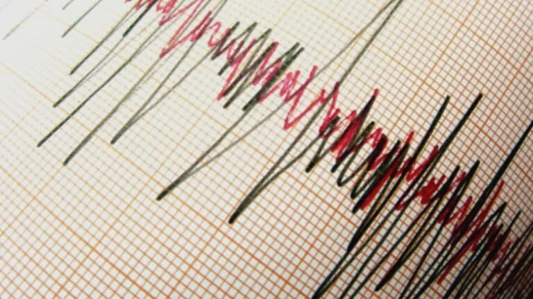 Seism în România: INFP confirmă reluarea activității seismice joi dimineața