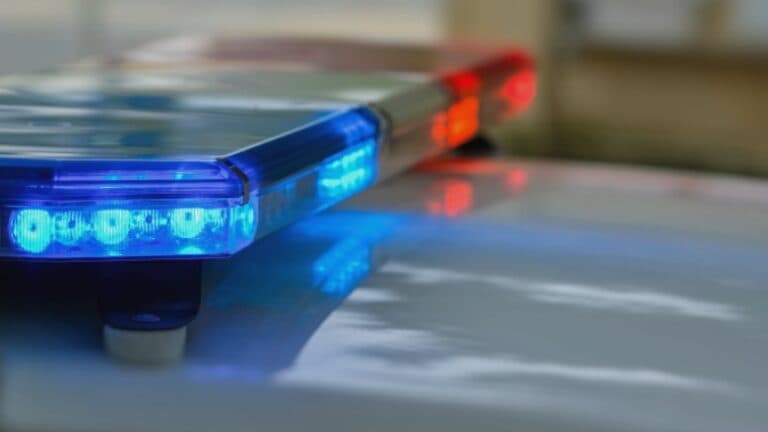 Doi bărbați din Argeș, reținuți în urma agresării unui polițist și distrugerii unei mașini de intervenție