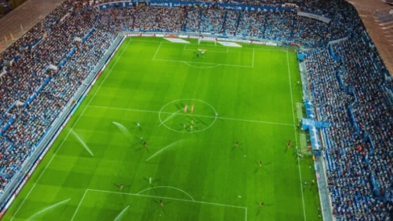 O echipă de fotbal impune interdicția consumului de semințe de floarea-soarelui pe stadion: „Sănătatea suporterilor este prioritatea noastră.”