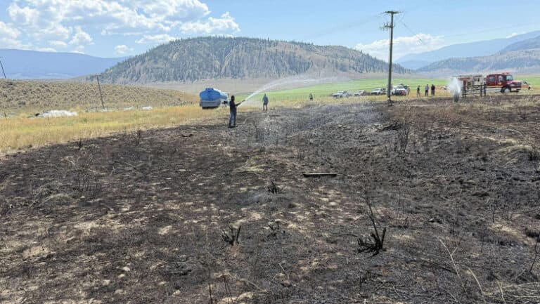 Un pește salvat de la o pasăre de pradă a declanșat un incendiu în Canada, „a dorit să încerce o delicatesă.”