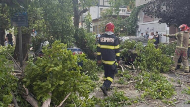 Furtuna a adus haos în Capitală și în întreaga țară: răniți și copaci doborâți peste drumuri și automobile