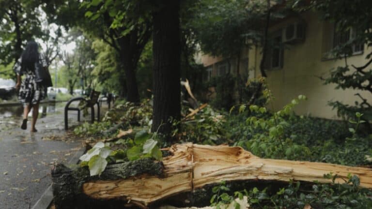 Furtunile își îndreaptă atenția spre sudul țării. Meteorolog: „Ne așteaptă o perioadă cu vreme capricioasă și momente de instabilitate.”