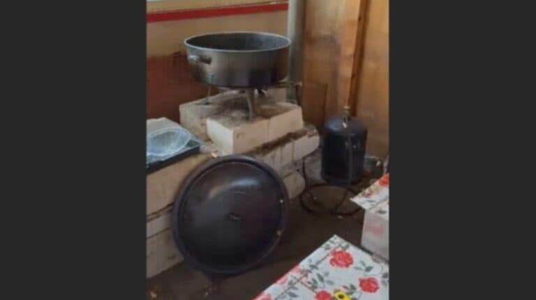 Scene scandalos de pe plajele litoralului: Gogoșile vândute provoacă indignare în rândul internauților, care acuză: „Ați sprijinit comerțul cu dulciuri de proastă calitate!”