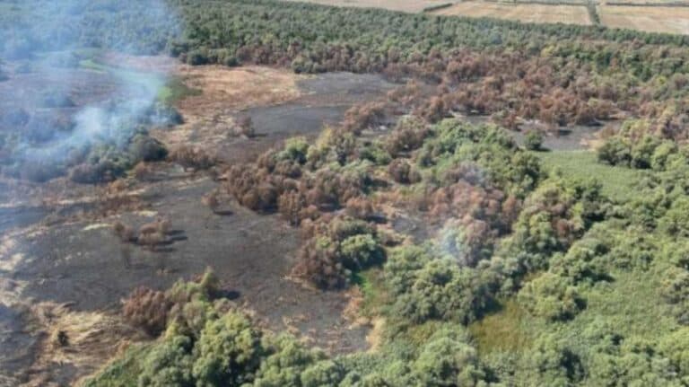 Flăcările devastatoare au cuprins Delta Dunării: 50 de hectare de vegetație și pădure au fost distruse