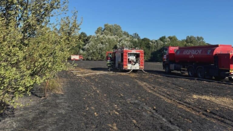 Flăcări furioase mistuie un sat de lângă București: șapte hectare de vegetație sunt în pericol, iar o locuință a fost distrusă