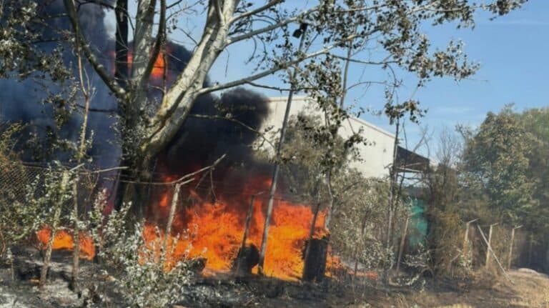 Explozia unei roți de camion pe E70 declanșează un incendiu devastator în apropierea Alexandriei