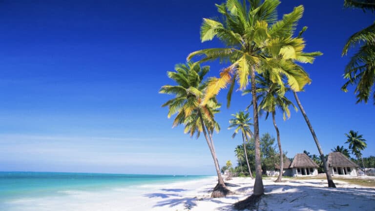 Peste 30 de sătmăreni, victime ale unei escrocherii cu vacanțe false în Zanzibar. Ce sumă uriașă au pierdut!