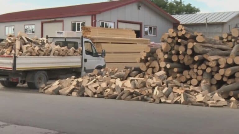 Românii își pregătesc căldura pentru iarnă: cele mai accesibile surse de lemne de foc