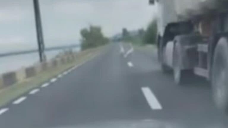 Moment șocant pe drum: un șofer imoral lovește intenționat o lebădă