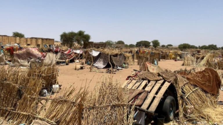 Sudanul se confruntă cu o criză devastatoare de holeră: zeci de victime săptămânal într-o realitate terifiantă și inumană
