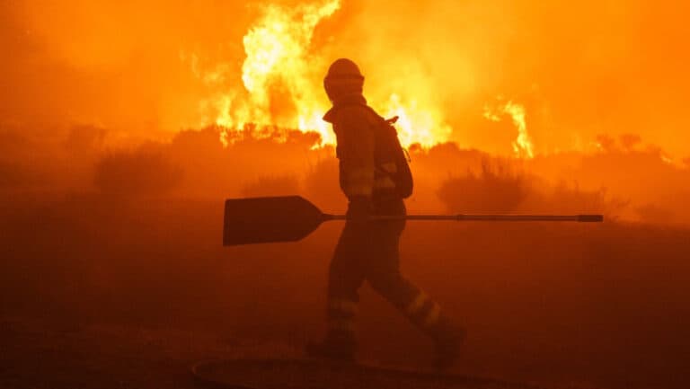 Focul și căldura sufocantă îngenunchează sudul Europei: tragedii în Spania și Franța