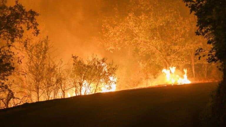 Franța, confruntată cu cel mai devastator incendiu forestier al anului: pădurile din sud în flăcări, o victimă și 9 răniți