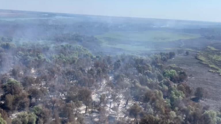Flăcările devorează Delta Dunării: Aproape 70 de hectare de pădure și vegetație sunt amenințate, un nou incendiu izbucnește lângă Plauru