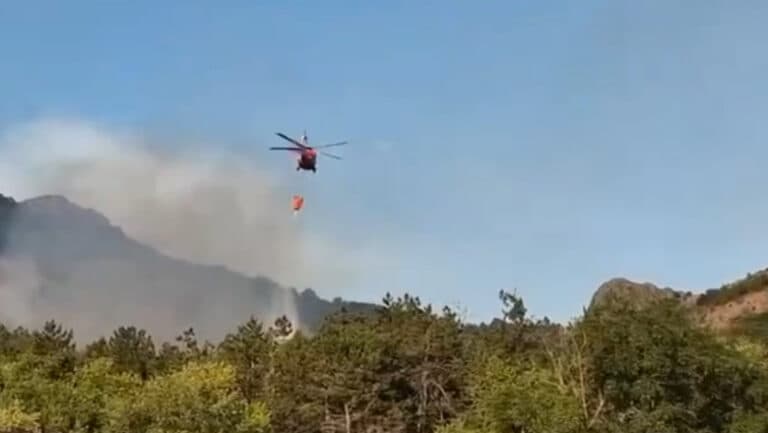 Flăcări devastatoare în Tulcea: incendiu pe 6 hectare în Chilia Veche, intervenție cu elicopter Black Hawk