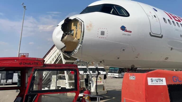 Un zbor Iberia spre Paris s-a întors rapid la Madrid după o coliziune cu un vultur în aer