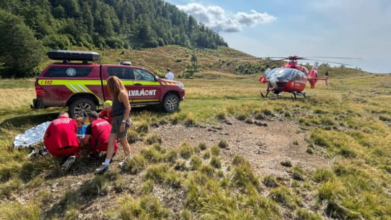 Un copil mușcat de viperă în Maramureș, salvat de un elicopter SMURD