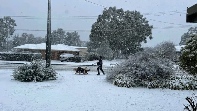 Un fenomen spectaculos: cel mai impresionant strat de zăpadă din ultimele decenii, apărut în Australia sub influența vremii extreme