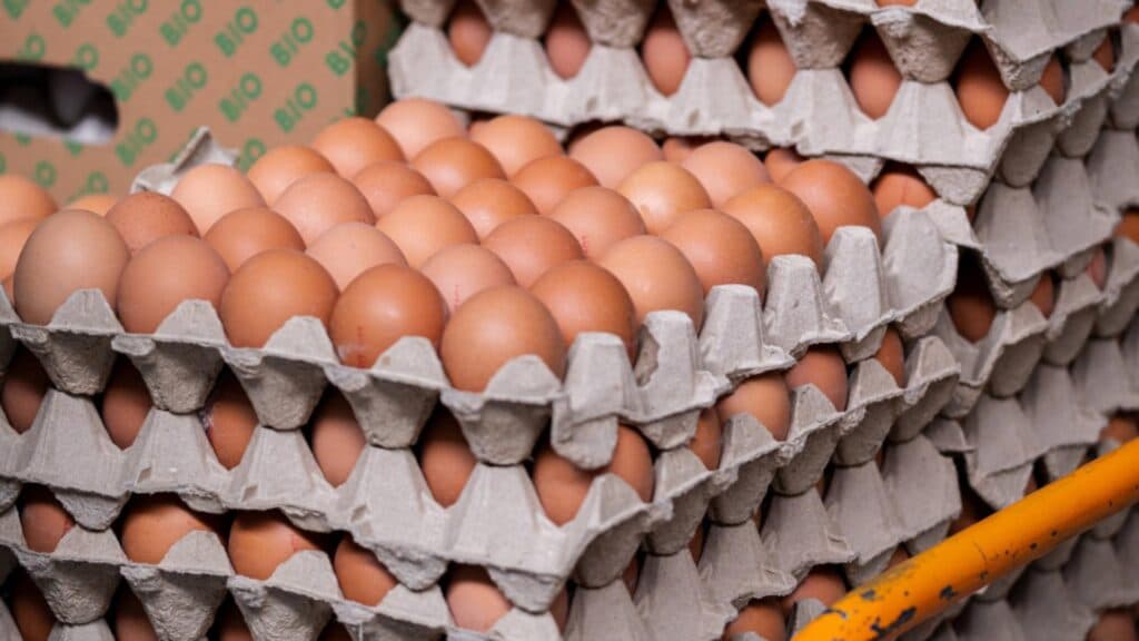 Atenție la sănătate! Ouă organice, retrase din două magazine din cauza riscului de salmonella