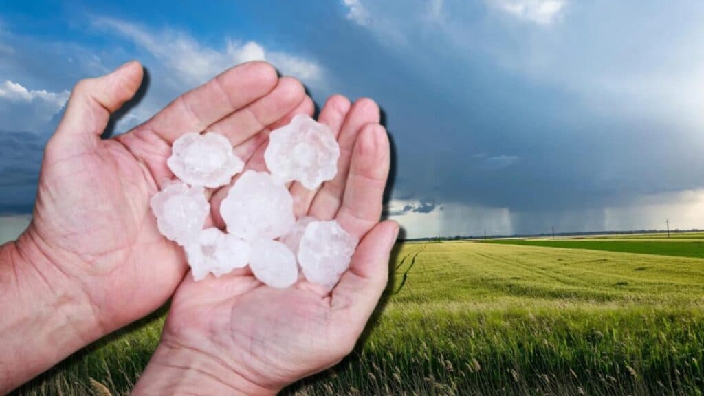Alertă meteorologică: Grindină de proporții în nouă județe montane